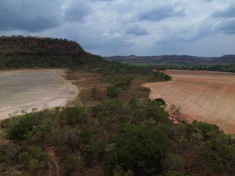 Balsas (MA), 09/10/2025 – Lavoura de cultivo de soja avança sobre a vegetação do cerrado na região do Vão do Uruçuí, nos Gerais de Balsas. Foto: Fernando Frazão/Agência Brasil