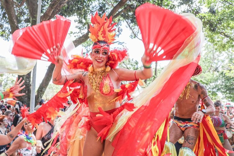 Brasília (DF), 17/02/2026 -Carnaval de rua no Bloco Calango Careta.
Foto: Joédson Alves/Agência Brasil