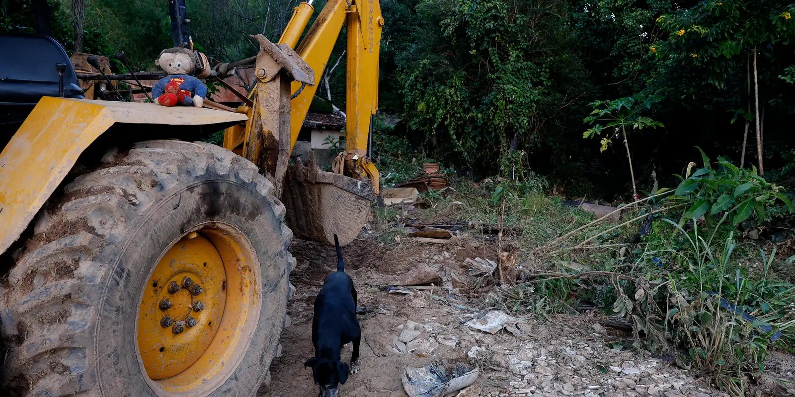 MG: mais de 400 produtores rurais foram prejudicados pelas chuvas